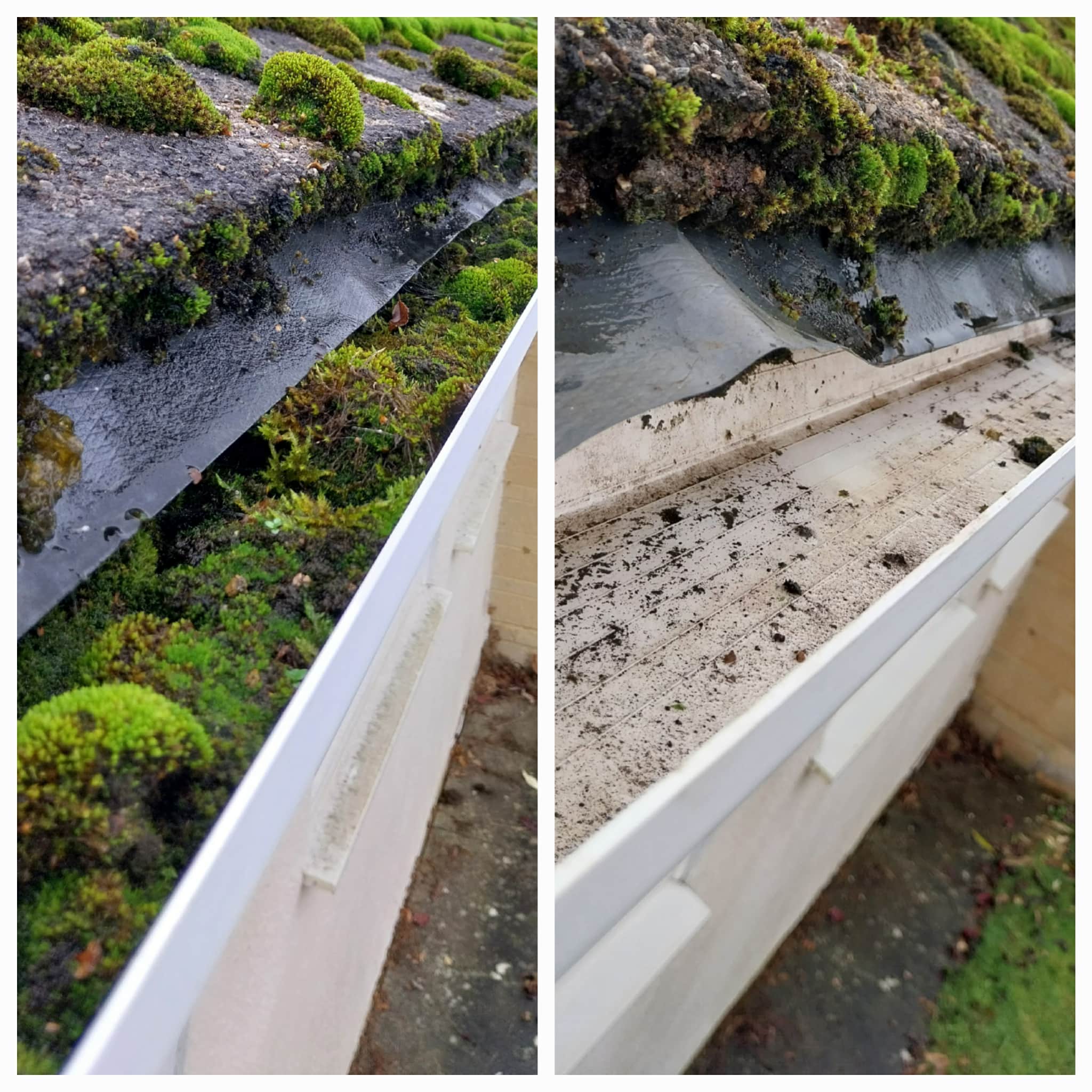 gutter-cleaning 4
