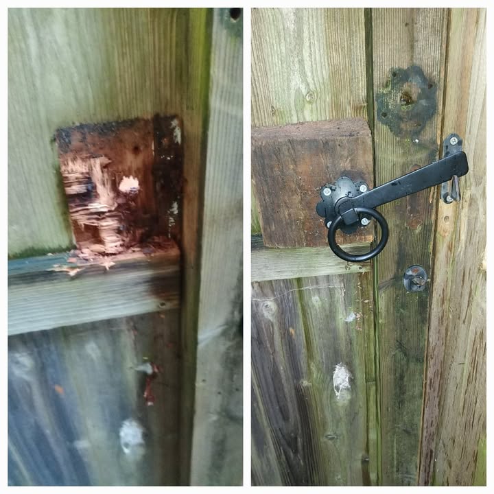 general-maintenance 8